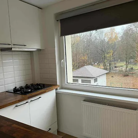 Two Bedroom Lazdynai