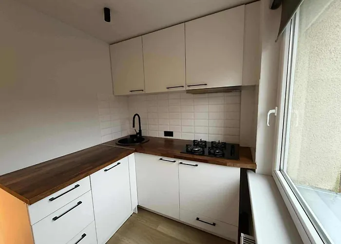 Apartman Two Bedroom Lazdynai *