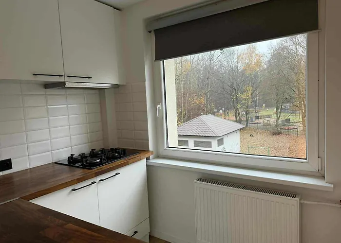 Two Bedroom Lazdynai